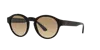Giorgio Armani Woman Sunglass Ar8146 In Clear Gradient Brown Photo