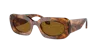 Giorgio Armani Frau Sunglass Ar8182 In Brown