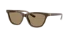 Giorgio Armani Acetate Cat-eye Sunglasses In Brown