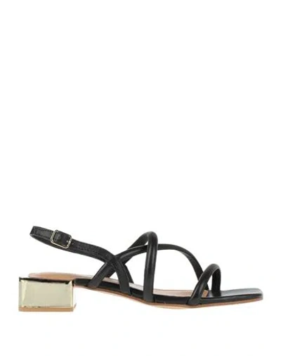 Gioseppo Woman Sandals Black Size 9.5 Textile Fibers