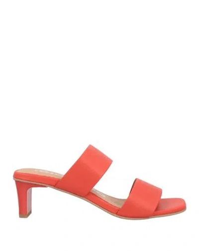 Gioseppo Woman Sandals Tomato Red Size 6.5 Leather