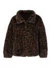Giovanni Paris Leopard-print Zip-front Jacket In Brown