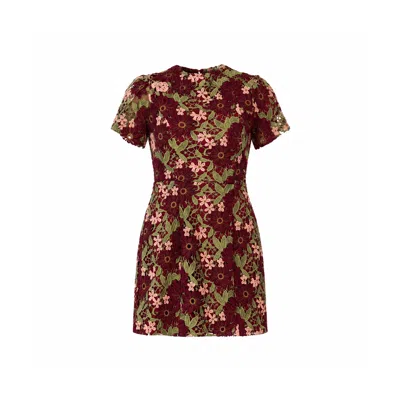 Girl In Mind Women's Brown Ami Corded Lace Tulip Sleeve Mini Dress Burgundy