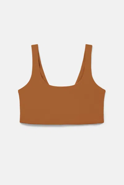 Girlfriend Collective Amber Scoop Bralette In Brown