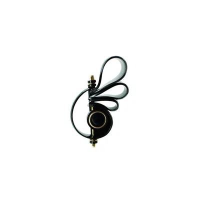 Gissa Bicalho Women's Brooch Paisley Black