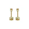 Gissa Bicalho Women's Neutrals Earring Long Trapeze Clay