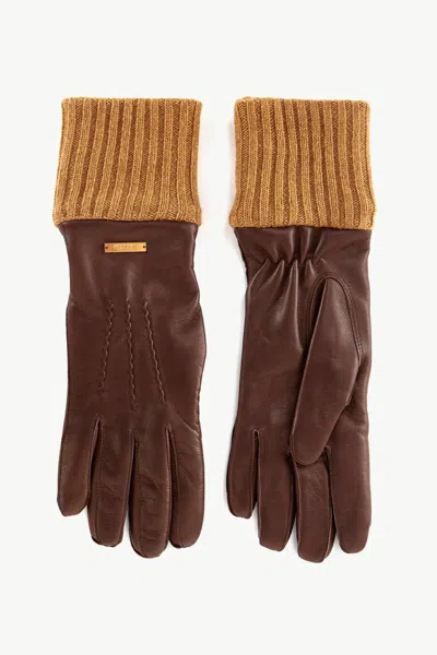 Giuliva Heritage Gloves Accessories In Brown
