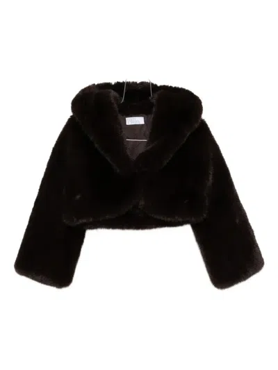 Giuseppe Di Morabito Hooded Cropped Jacket In Black