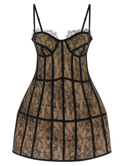 Giuseppe Di Morabito Lace Mini Dress With Grosgrain Bustier Design In Brown