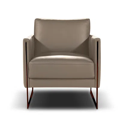 Giuseppe Nicoletti Coco Leather Chair - Exclusive In Bull Bianco Puro/polished Stainless Stee