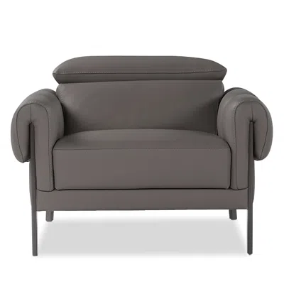 Giuseppe Nicoletti Falco Armchair In Anteres  Visone