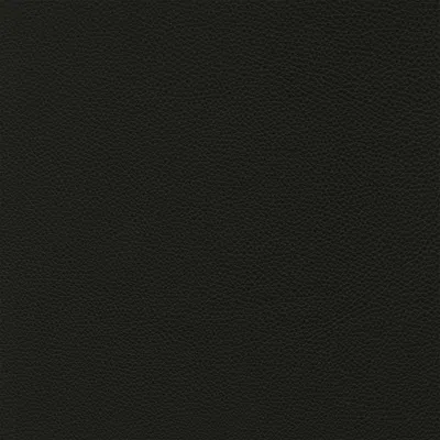 Giuseppe Nicoletti Soprano Leather Sofa In Black