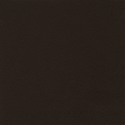 Giuseppe Nicoletti Soprano Leather Sofa In Brown