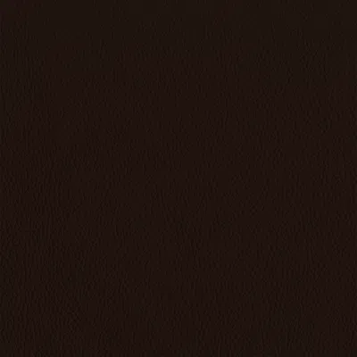 Giuseppe Nicoletti Soprano Leather Sofa In Brown