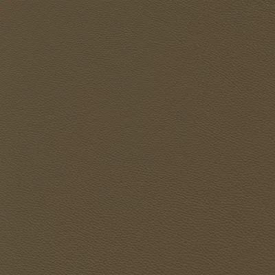 Giuseppe Nicoletti Soprano Leather Sofa In Green