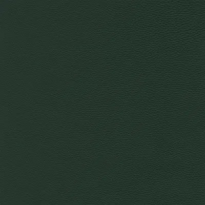 Giuseppe Nicoletti Soprano Leather Sofa In Green