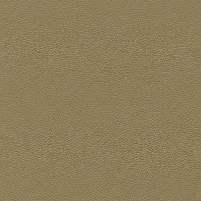 Giuseppe Nicoletti Soprano Leather Sofa In Green