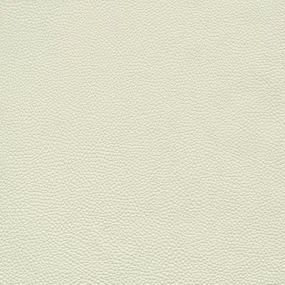 Giuseppe Nicoletti Soprano Leather Sofa In Neutral