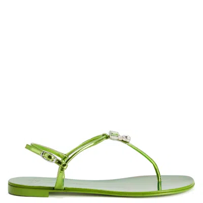 Giuseppe Zanotti Alphonsine In Green