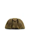 Giuseppe Zanotti Amandhe Rhinestone-embellished Clutch Bag In Brown