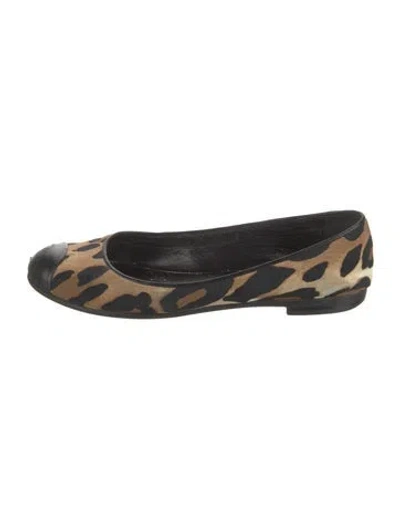 Pre-owned Giuseppe Zanotti Animal Print Ballet Flats In Neutral