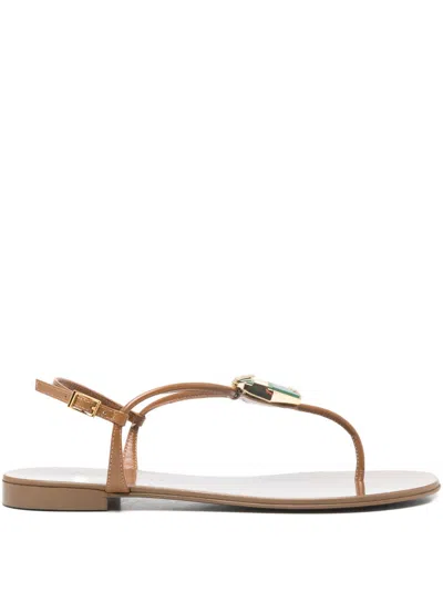 Giuseppe Zanotti Atlantide Thong Sandals In Brown