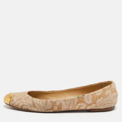 Giuseppe Zanotti Beige Lace Cap Toe Ballet Flats In Brown