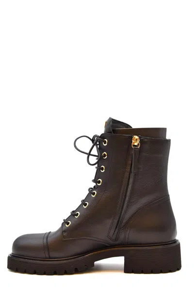 Giuseppe Zanotti Black In Brown