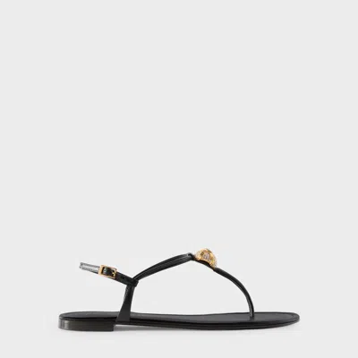 Giuseppe Zanotti Cocktail Flat In Black