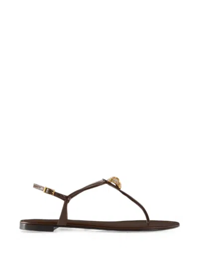 Giuseppe Zanotti Cocktail Flat Sandals In Brown