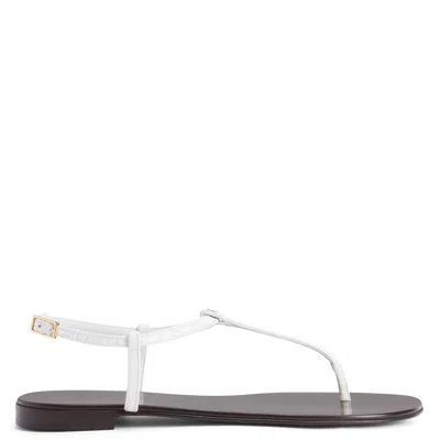 GIUSEPPE ZANOTTI DORIAANE
