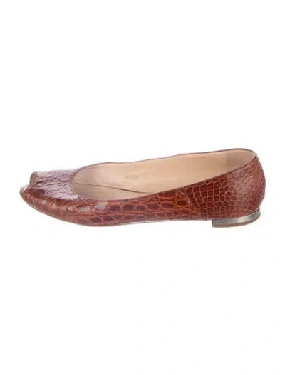 Pre-owned Giuseppe Zanotti Embossed Leather Animal Print Ballet Flats In Brown