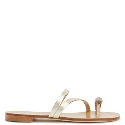 Giuseppe Zanotti Febe Carre' In Gold