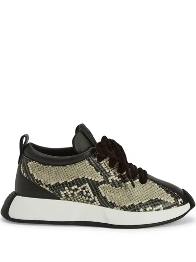 Giuseppe Zanotti Ferox Sneakers In Black
