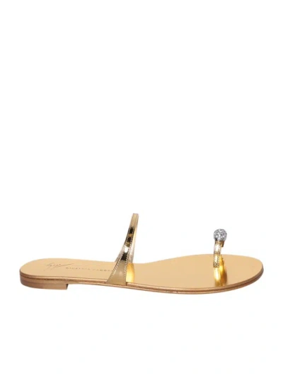 Giuseppe Zanotti Flat Sandals In Gold