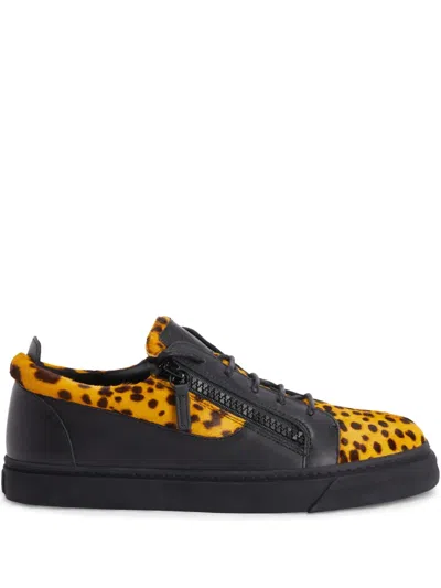 Giuseppe Zanotti Frankie Sneakers In Orange