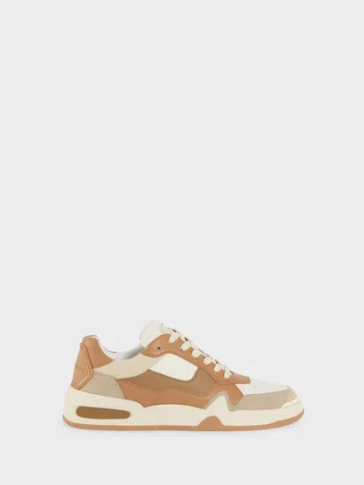 Giuseppe Zanotti Gz-casper Sneaker In Brown