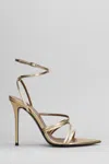 Giuseppe Zanotti Intriigo Claire 105