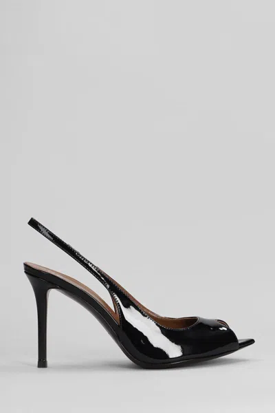Giuseppe Zanotti Intriigo Pumps