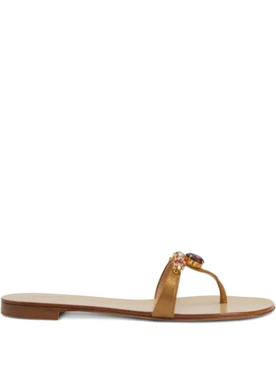 Giuseppe Zanotti Katisha Embellished Thong Sandals In Brown