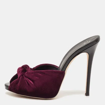 Pre-owned Giuseppe Zanotti Knotted Size 37 Burgundy Velvet Slide Sandals