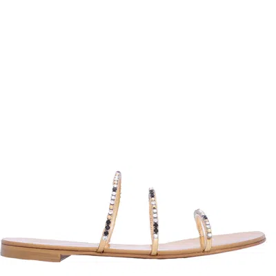 Giuseppe Zanotti Ladies Gold Dark Colorful Rhinestone-embellished Sandals In Black