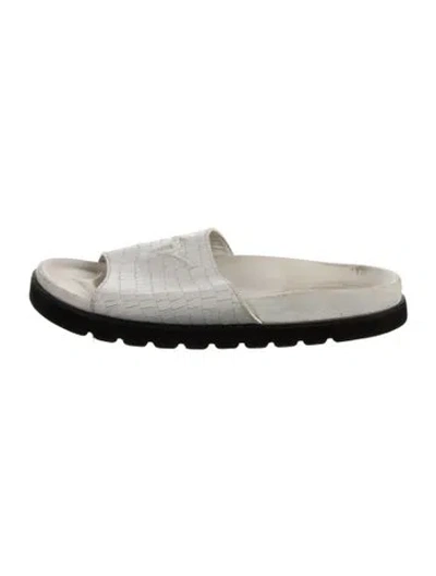 Pre-owned Giuseppe Zanotti Leather Animal Print Slides In White