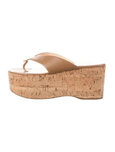 Pre-owned Giuseppe Zanotti Leather Flip Flops In Neutrals