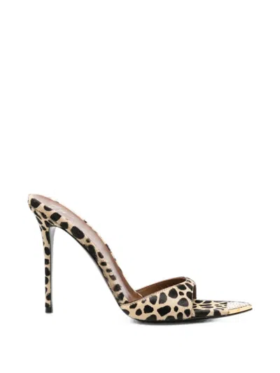 Giuseppe Zanotti Leopard-print Crystal-embellished Sandals In Neutral