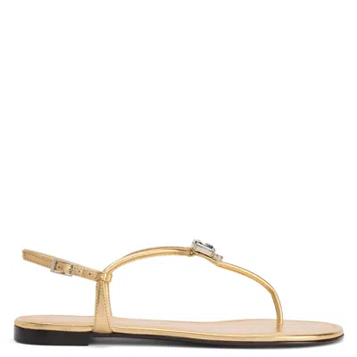 Giuseppe Zanotti Maeeve Adjustable-strap Flat Sandals In Multi