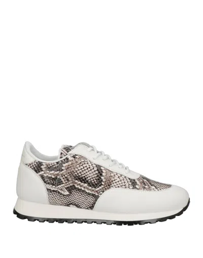 Giuseppe Zanotti Sneakers In White