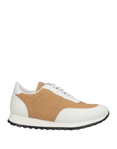 Giuseppe Zanotti Sneakers In White
