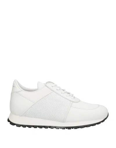 Giuseppe Zanotti Sneakers In White