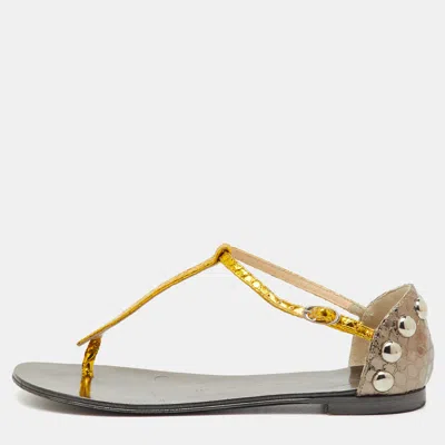 Pre-owned Giuseppe Zanotti Metallic Yellow/grey Python Embossed Leather Flat Thong Sandals Size 36